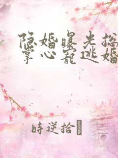 隐婚曝光总裁的掌心宠逃婚了贺聿舟大结局