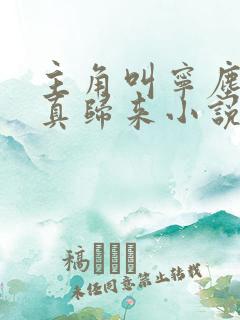 主角叫宁尘的修真归来小说