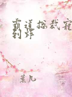 霸道总裁宠文甜到炸