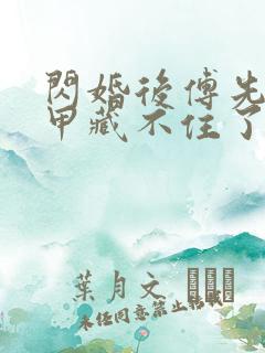 闪婚后傅先生马甲藏不住了小说完本