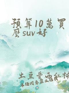 预算10万买什么suv好