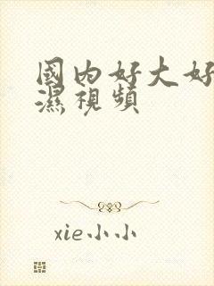 国内好大好爽好湿视频