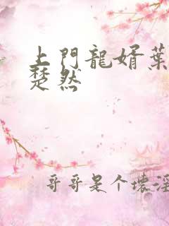 上门龙婿叶辰萧楚然