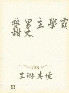 双男主学霸校园甜文