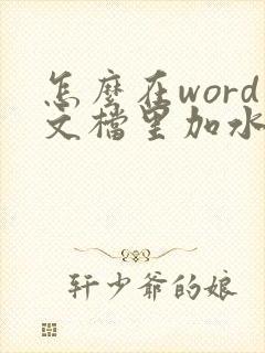 怎么在word文档里加水印 然后变pdf