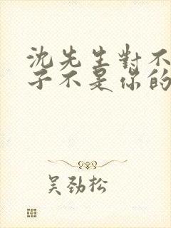 沈先生对不起孩子不是你的短剧免费观看