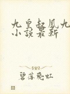 九皇叔凤九儿的小说最新