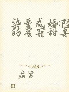 染爱成婚:陆少的蜜宠甜妻