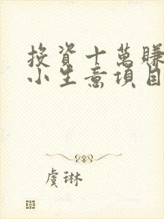 投资十万赚钱的小生意项目