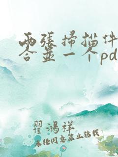 两张扫描件如何合并一个pdf文件