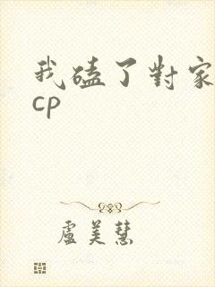 我磕了对家x我cp