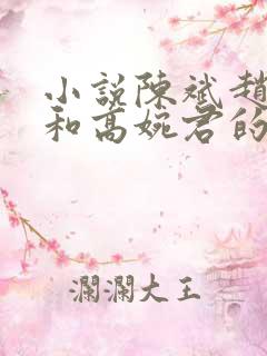 小说陈斌赵心媚和高婉君的小说免费阅读