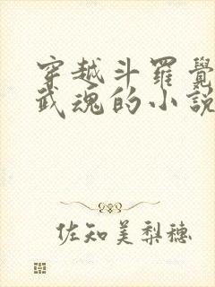 穿越斗罗觉醒剑武魂的小说