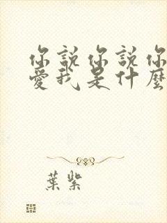 你说你说你不再爱我是什么歌