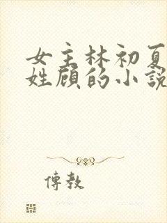 女主林初夏男主姓顾的小说