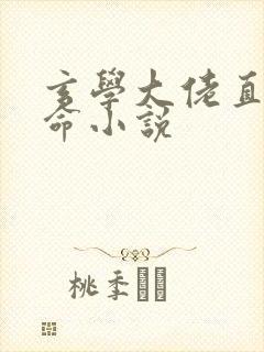 玄学大佬直播算命小说