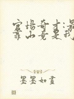 官场奇才:最强靠山竟是我自己李澜全文小