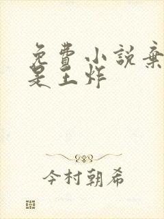 免费小说弃妃竟是王炸