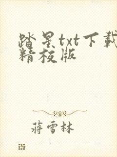 踏星txt下载精校版