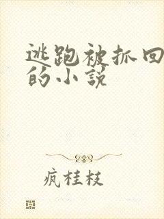 逃跑被抓回惩罚的小说