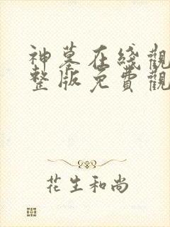 神墓在线观看完整版免费观看