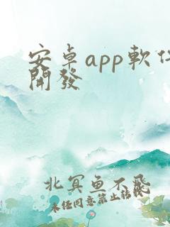 安卓app软件开发