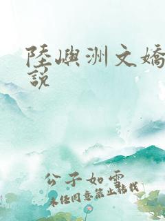陆屿洲文娇的小说