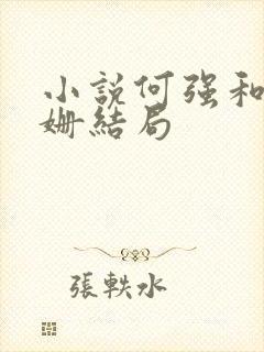 小说何强和罗姗姗结局