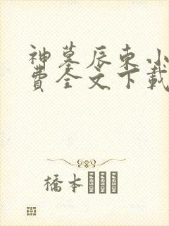 神墓辰东小说免费全文下载
