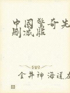 中国惊奇先生未删减版