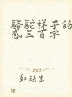 骆驼祥子的读后感三百字