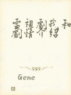 电视剧我和丈娘剧情介绍