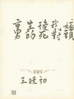 重生后我嫁给渣男的死对头宠上天