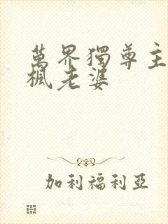 万界独尊主角林枫老婆