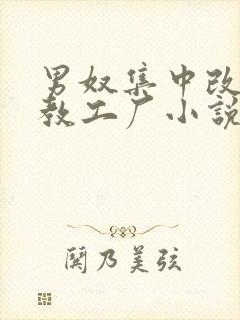 男奴集中改造调教工厂小说