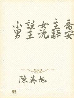 小说女主乔若兮男主沈辞安