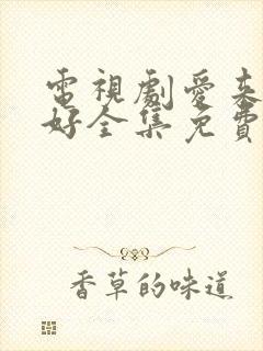 电视剧爱来的刚好全集免费观看