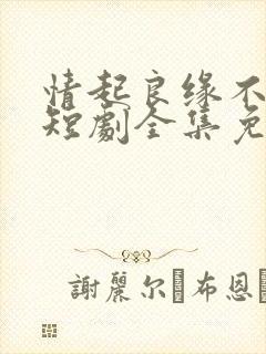 情起良缘不可窃短剧全集免费观看