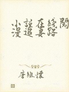 小说在线阅读漫漫追妻路