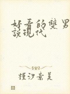 好看的双男主小说现代