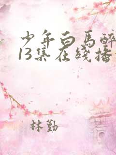 少年白马醉春风13集在线播放