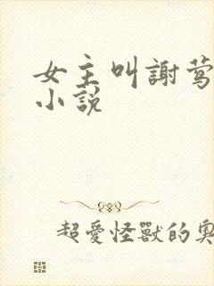 女主叫谢莺眠的小说