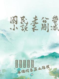 国民老公带回家小说未删减