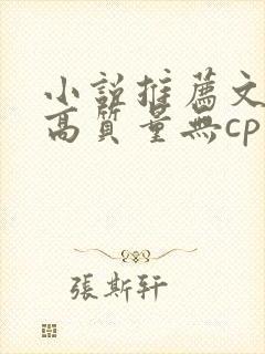 小说推荐文笔好高质量无cp