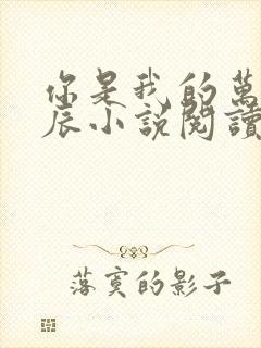 你是我的万千星辰小说阅读全部