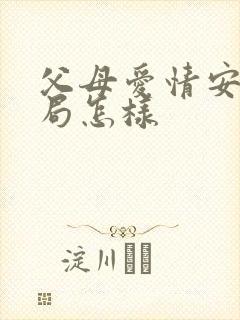 父母爱情安怡结局怎样