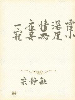 一夜情深霍先生宠妻无度小说免费阅读