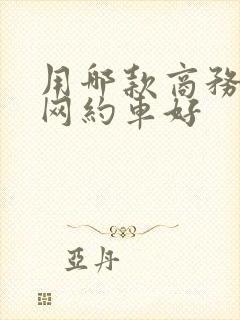 用哪款商务车跑网约车好