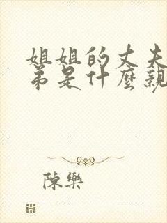 姐姐的丈夫和弟弟是什么亲属关系