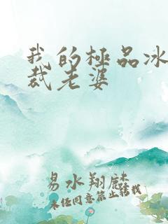 我的极品冰山总裁老婆